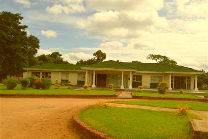 Hazel, 26 — Escort in Kwekwe, Zimbabwe