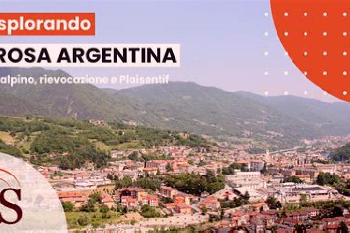 Hazel, 26 — Escort in Perosa Argentina, Italy