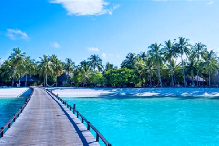 Hazel, 26 — Escort in Pueu, French Polynesia