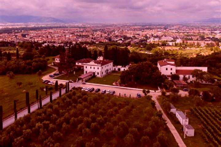 Hazel, 26 — Escort in Sticciano Scalo, Italy