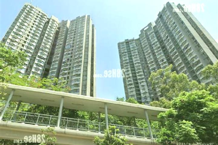 Hazel, 26 — Escort in Tsui Wan Estate, Hong Kong