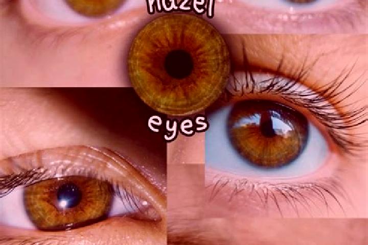 Hazel, 27, a auburn hazel-eyed asian companion based in Walnut Hill. Offering 69, OWO, A-Level, Dinner Date. Available for incall and outcall, overnight book...