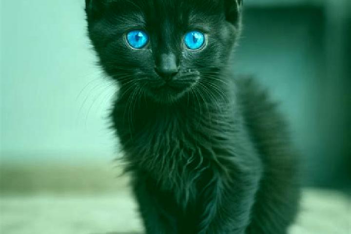 Hazel, 27, a black blue-eyed slavic companion based in Chicomba. Offering GFE, Tantra, Overnight, Prostate Massage, 69. Available for incall and outcall, ove...