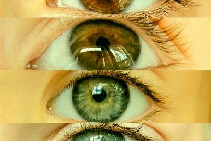 Hazel, 28, a chestnut green-eyed mixed companion based in Antonina do Norte. Offering Overnight, Tantra, Domination, 69. Available for incall and outcall, da...