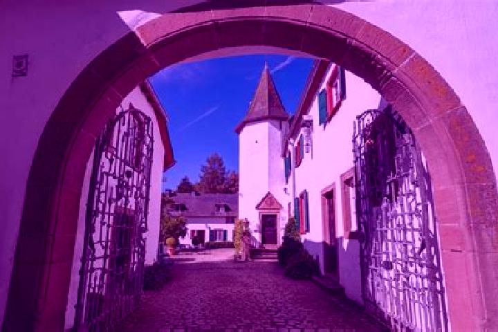 Hazel, 28 — Escort in Dierfeld, Germany