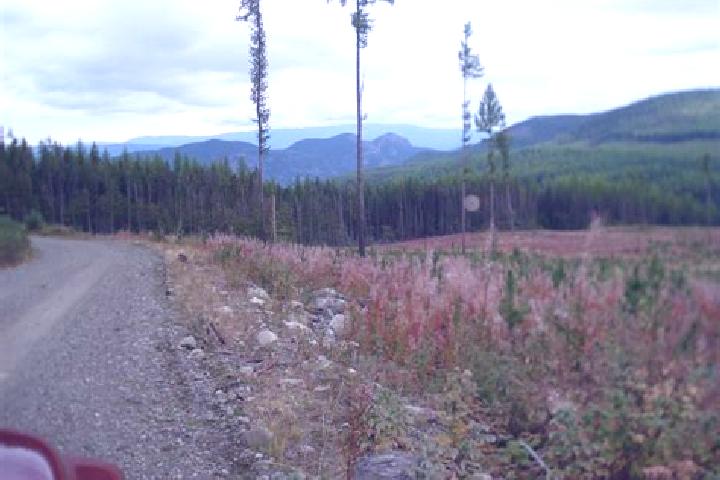 Hazel, 28 — Escort in Lumby, Canada