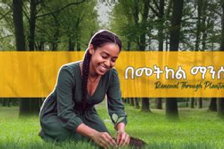 Hazel, 29 — Escort in Hirna, Ethiopia