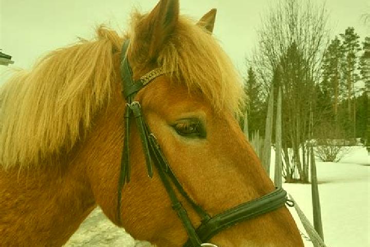 Hazel, 29 — Escort in Outokumpu, Finland