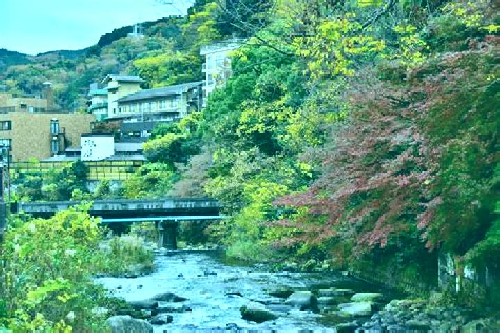 Hazel, 29 — Escort in Yugawara, Japan