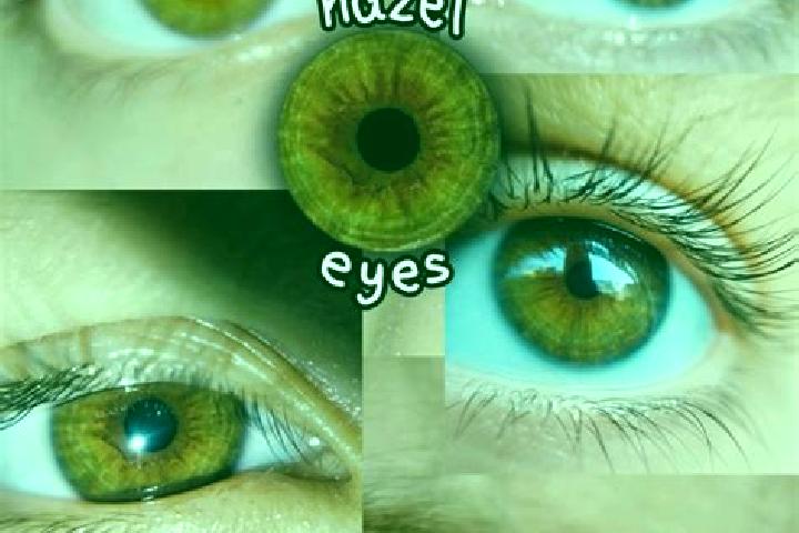 Hazel, 30, a chestnut hazel-eyed asian companion based in Baselice. Offering A-Level, Dinner Date, Couples. Available for incall and outcall, overnight booki...