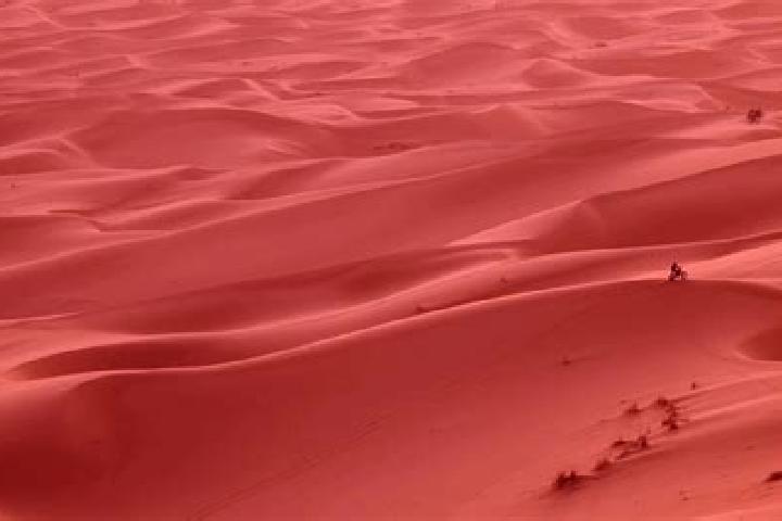 Hazel, 30 — Escort in Daoura, Western Sahara