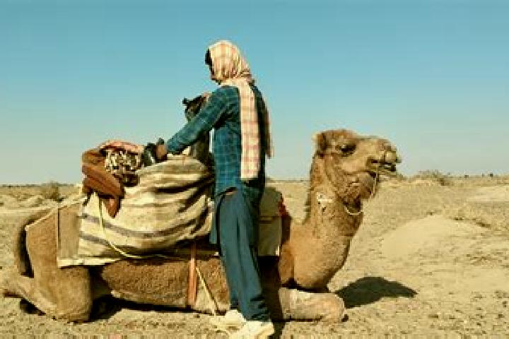 Hazel, 30 — Escort in Dasht-e Archi, Afghanistan