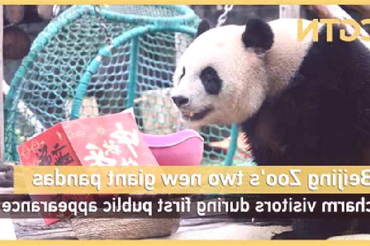 Hazel, 30 — Escort in Tiefeng, China