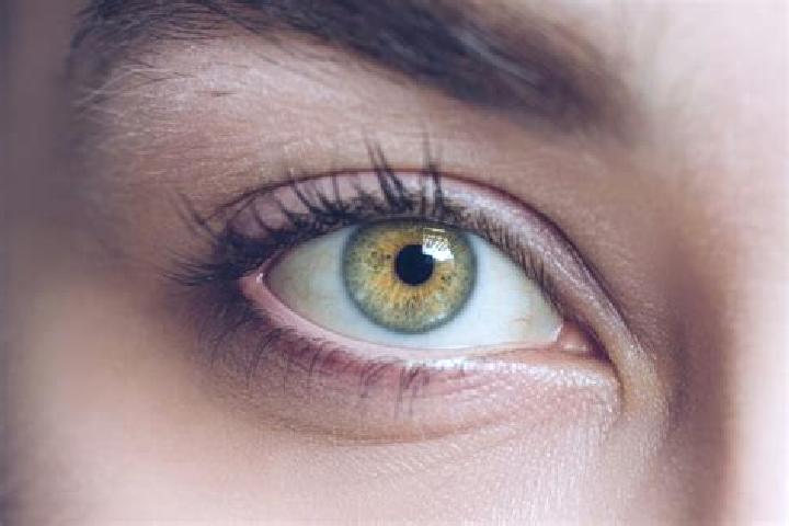 Hazel, 31, a black hazel-eyed mixed companion based in Devitsa. Offering GFE, Prostate Massage, CIM, Striptease. Available for incall and outcall, overnight ...