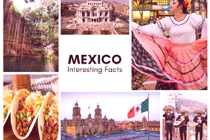 Hazel, 31 — Escort in Bechijtic, Mexico
