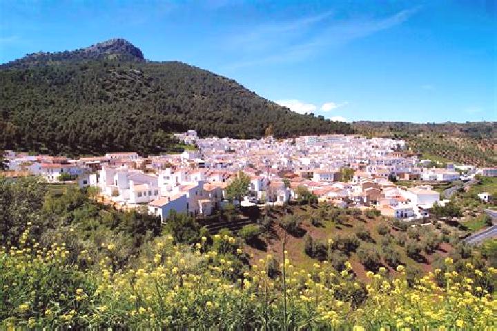Hazel, 31 — Escort in El Gastor, Spain