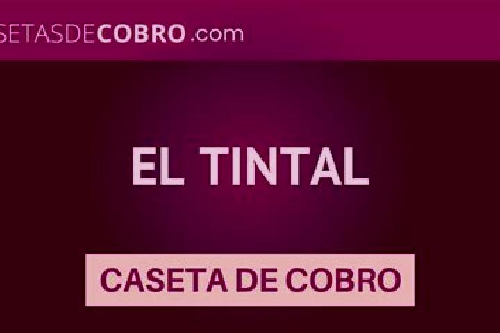 Hazel, 31 — Escort in El Tintal, Mexico