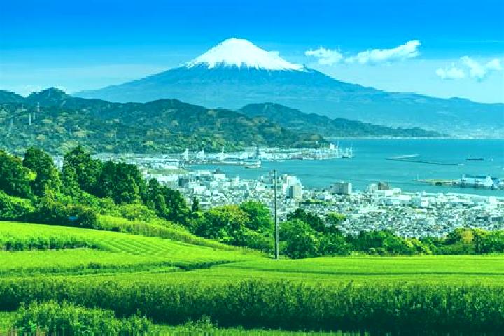 Hazel, 31 — Escort in Izunokuni, Japan