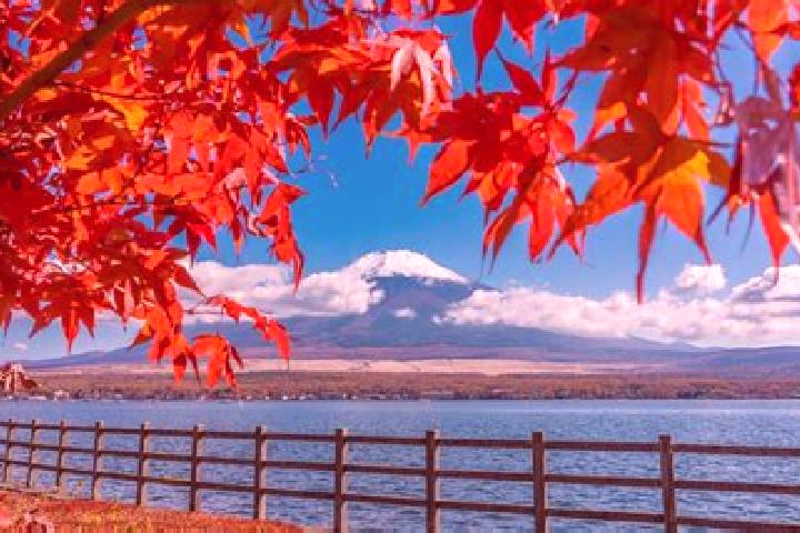 Hazel, 31 — Escort in Myoden, Japan