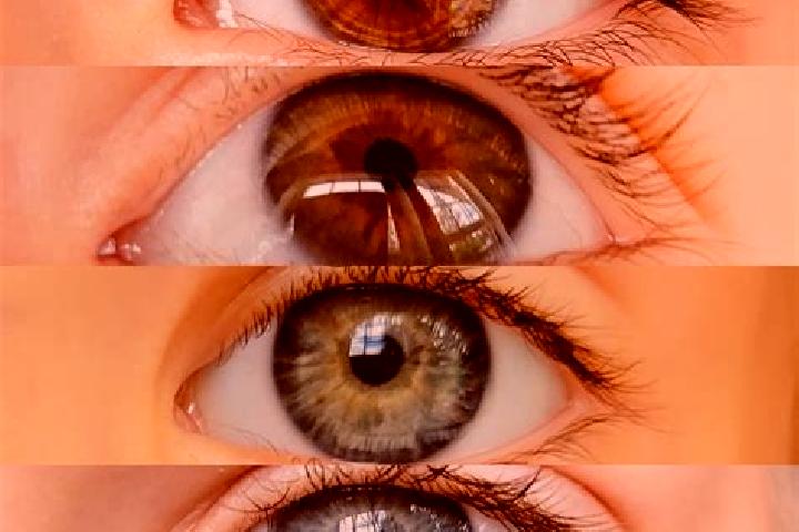 Hazel, 32, a chestnut brown-eyed mixed companion based in Lacco Ameno. Offering 69, A-Level, Roleplay. Available for incall and outcall, overnight bookings a...