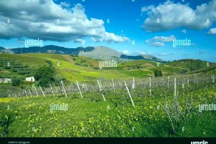 Hazel, 32 — Escort in Camporeale, Italy