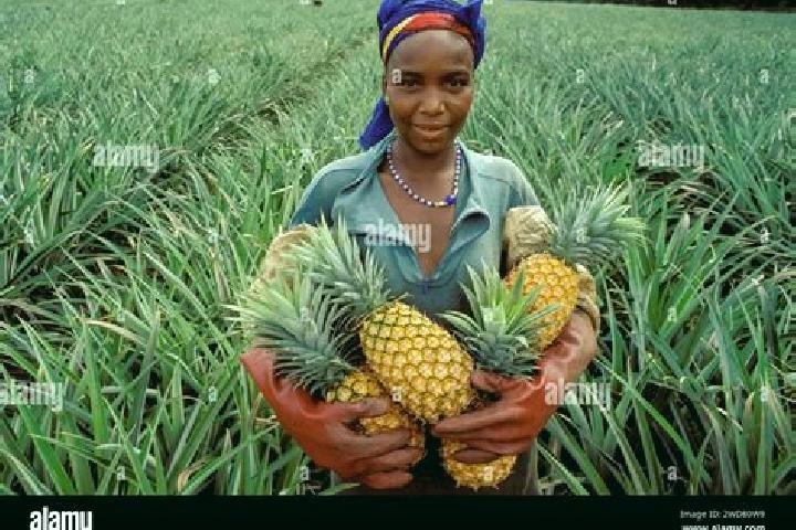 Hazel, 32 — Escort in Dabou, Ivory Coast