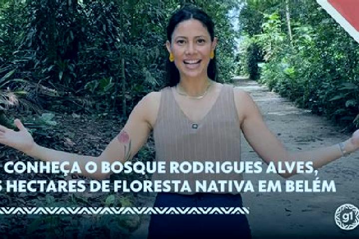 Hazel, 32 — Escort in Rodrigues Alves, Brazil