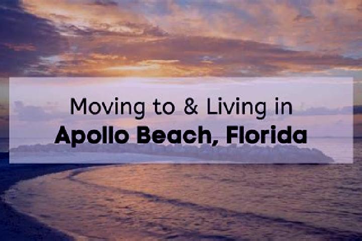 Hazel, 33 — Escort in Apollo Beach, United States