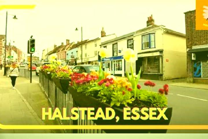 Hazel, 33 — Escort in Halstead, United States