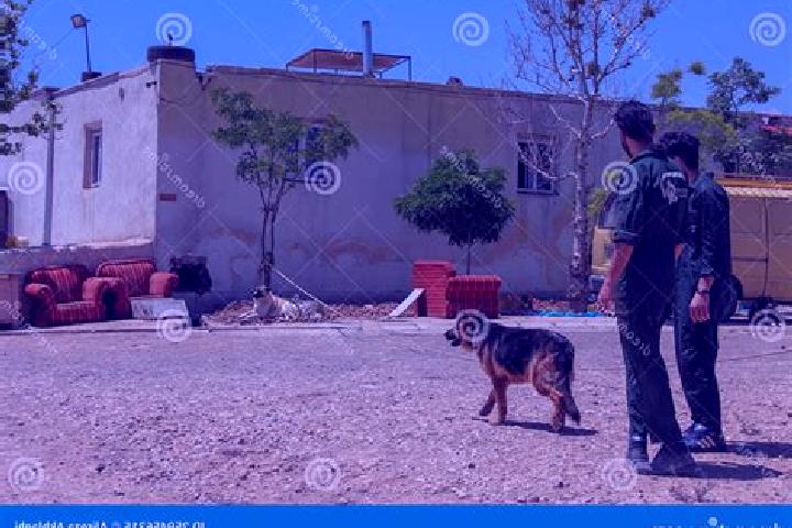 Hazel, 33 — Escort in Hashtgerd, Iran
