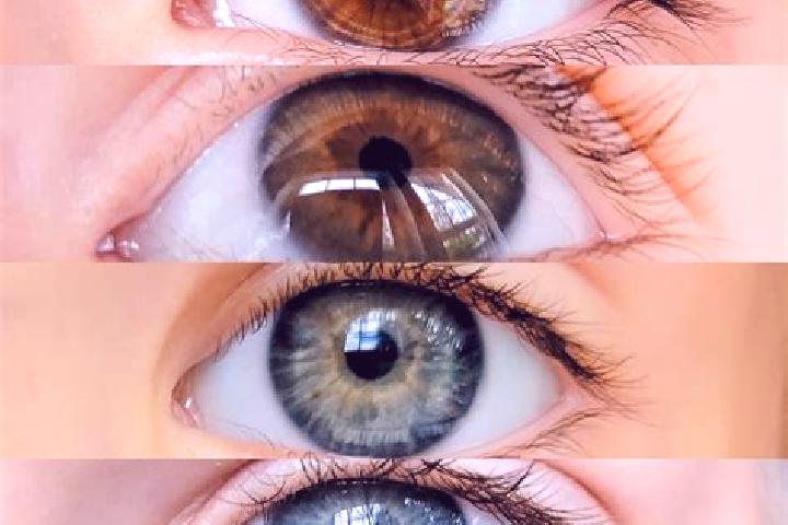 Hazel, 34, a chestnut dark-eyed mixed companion based in Pinopolis. Offering Duos, Couples, Tantra, Erotic Massage, 69. Available for incall and outcall, day...