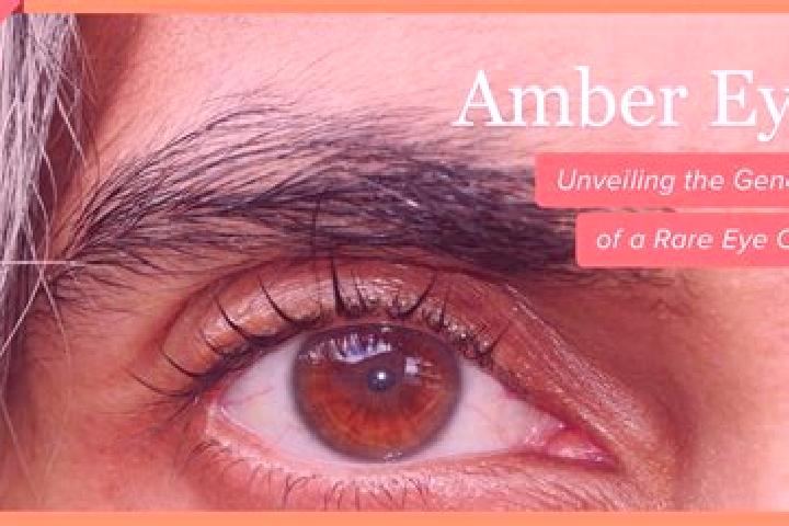 Hazel, 34, a red amber-eyed european companion based in Broni. Offering OWO, Duos, Striptease, Tantra. Available for incall and outcall, overnight bookings a...