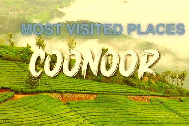 Hazel, 34 — Escort in Coonoor, India