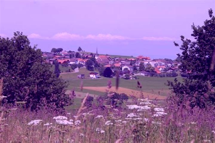 Hazel, 34 — Escort in Rechthalten, Switzerland