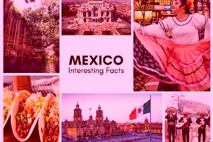 Hazel, 34 — Escort in Remojadas, Mexico