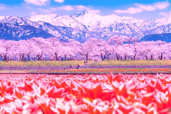 Hazel, 34 — Escort in Toyama, Japan