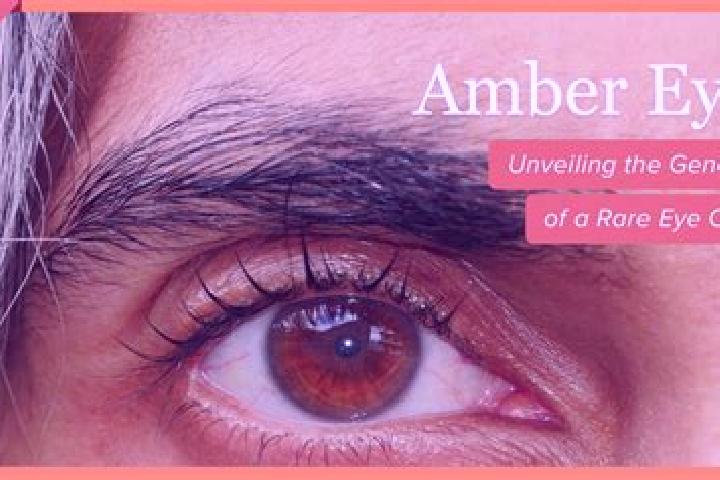 Hazel, 35, a red amber-eyed middle eastern companion based in Pamiatne. Offering Girlfriend Experience, GFE, BDSM, Overnight, Domination. Available for incal...