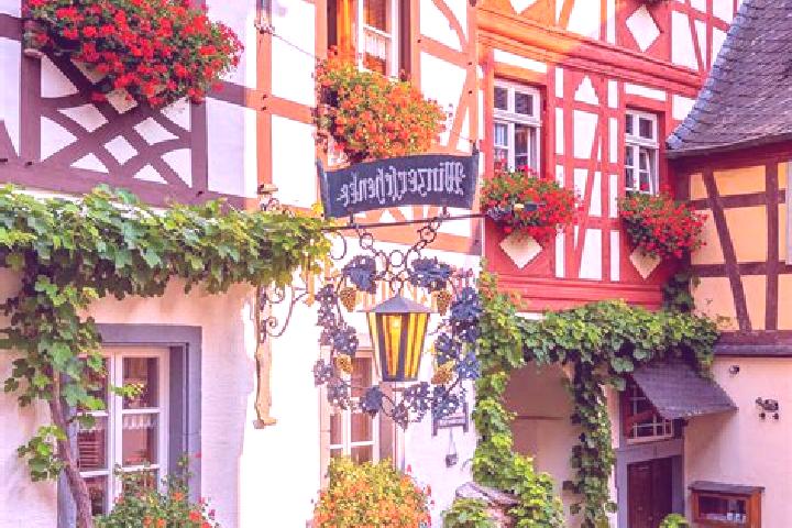 Hazel, 35 — Escort in Ahrenviolfeld, Germany