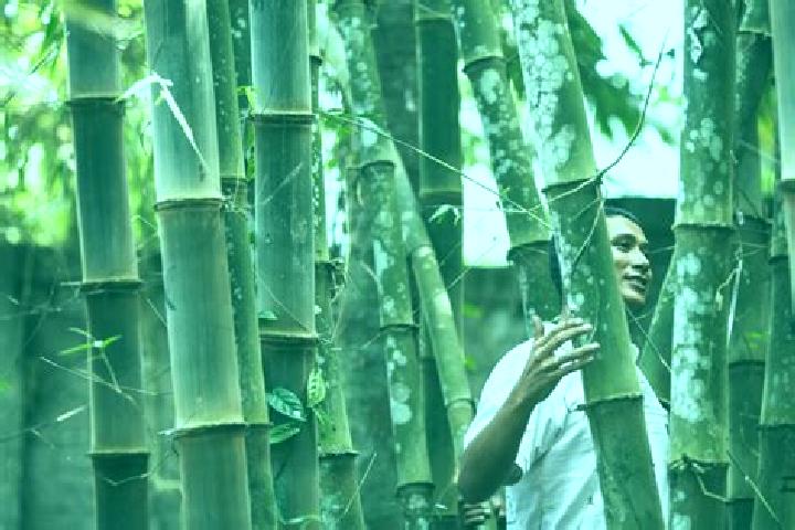 Hazel, 35 — Escort in Bamboo Flat, India