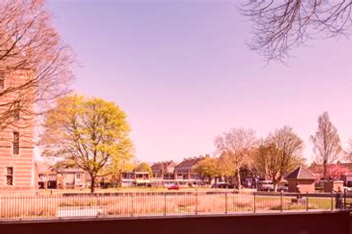 Hazel, 35 — Escort in De Bilt, Netherlands