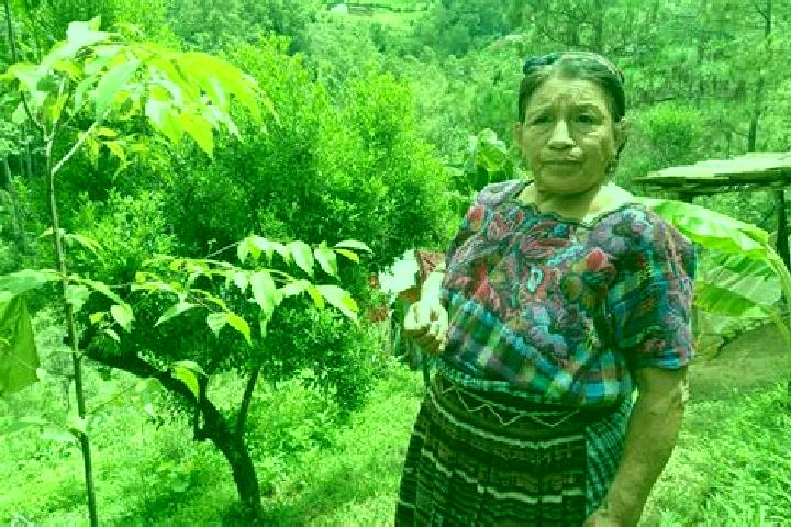 Hazel, 35 — Escort in Santa Maria Chiquimula, Guatemala