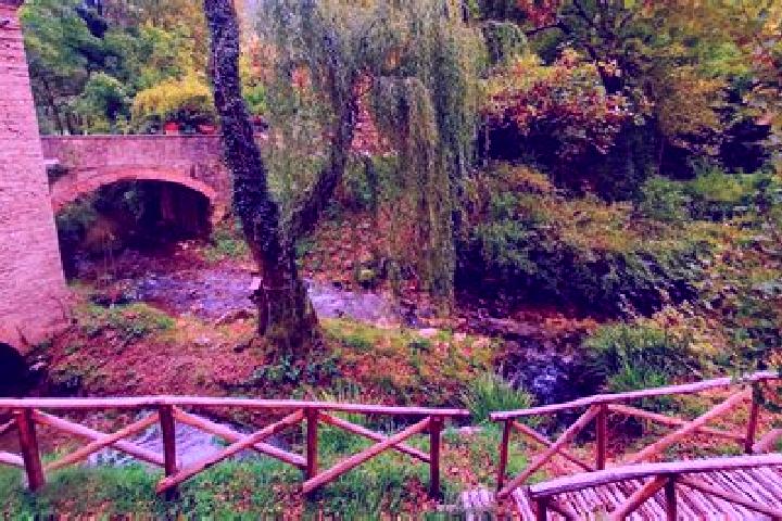Hazel, 35 — Escort in Serravalle di Chienti, Italy