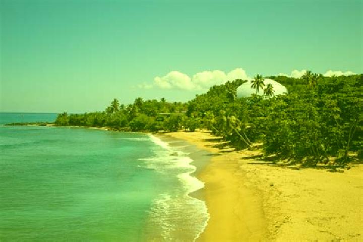 Hazel, 36, a chestnut hazel-eyed caribbean companion based in Puerto Obaldia. Offering Girlfriend Experience, BDSM. Available for incall and outcall, day and...
