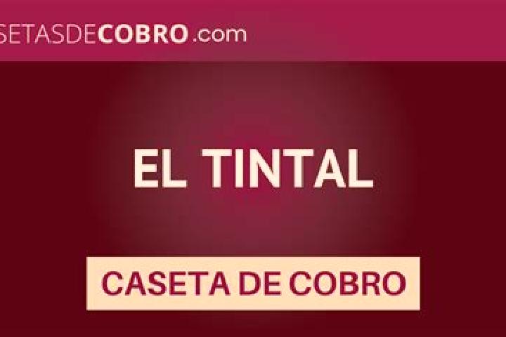 Hazel, 36 — Escort in El Tintal, Mexico