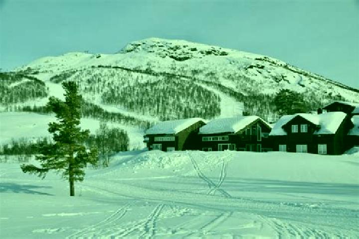 Hazel, 36 — Escort in Hovden, Norway