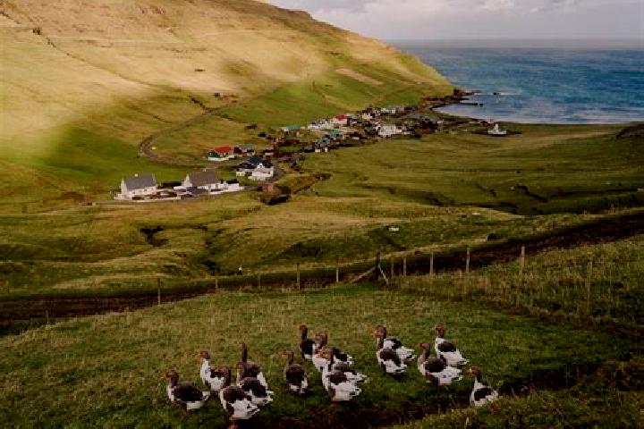 Hazel, 36 — Escort in Skali, Faroe Islands