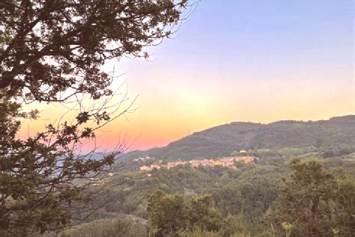 Hazel, 36 — Escort in Valle San Giovanni, Italy