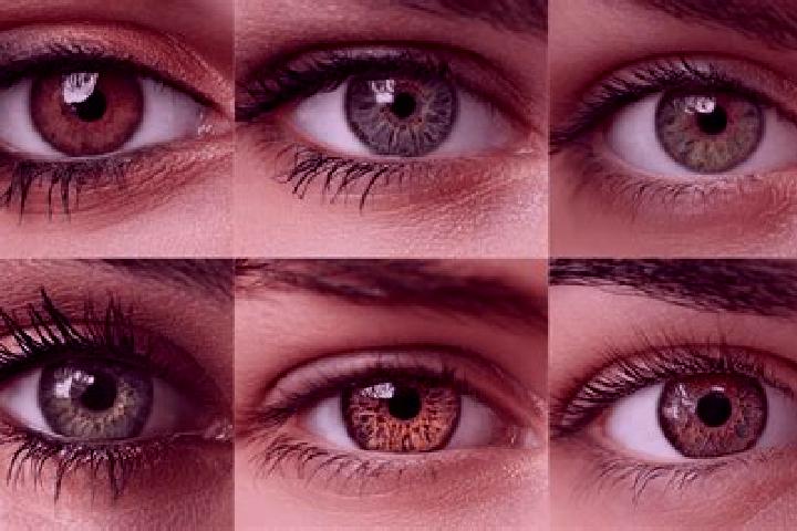 Hazel, 37, a black hazel-eyed middle eastern companion based in Lautert. Offering Dinner Date, Overnight, CIM. Available for incall and outcall, day and even...