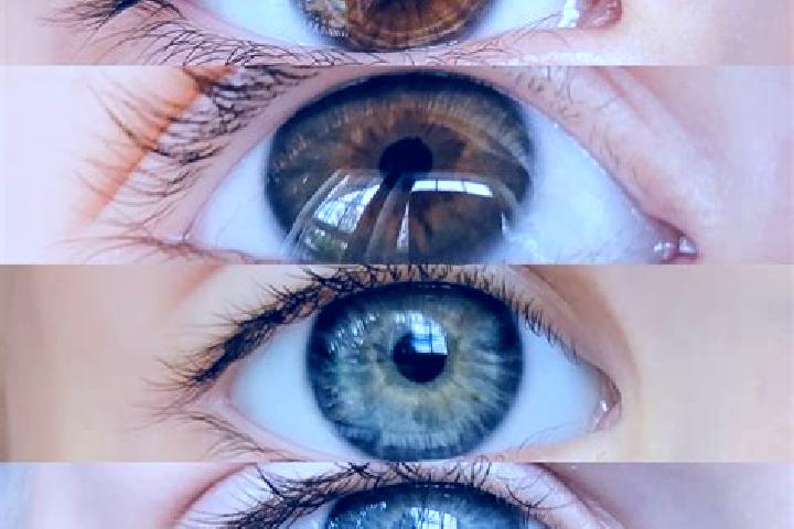 Hazel, 37, a chestnut blue-eyed middle eastern companion based in El Cacao. Offering Overnight, Tantra, GFE, CIM. Available for incall and outcall, overnight...