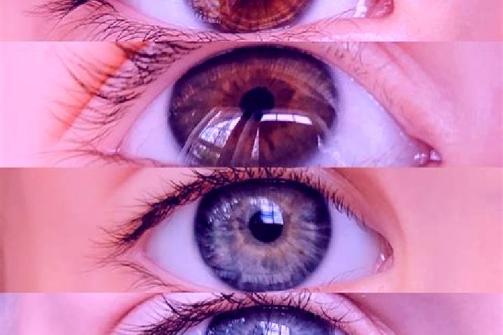 Hazel, 37, a chestnut blue-eyed mixed companion based in Risovoye. Offering A-Level, Couples, Domination. Available for incall and outcall, overnight booking...